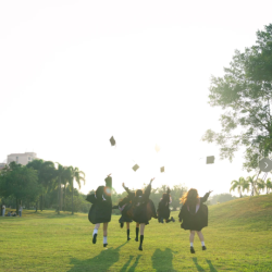 Graduation Season
